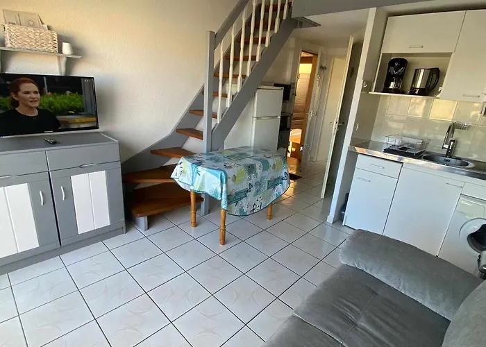 Climatise Pour 6 Avec Piscine, Terrasse Et Parking Pres De La - Fr-1-326-793 * Marseillan (Herault)